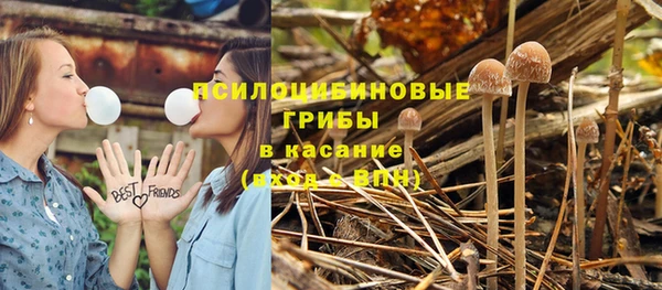 мет Алзамай