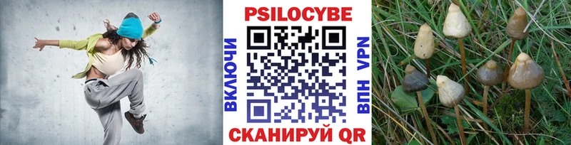 Галлюциногенные грибы Magic Shrooms Гвардейск