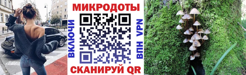 Псилоцибиновые грибы Psilocybine cubensis  Купить закладки  Гвардейск 